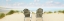 Picture of BEACHSCAPE PANORAMA VI