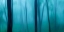 Picture of HARRIMAN WOODS II