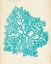 Picture of AQUAMARINE SEAWEED V