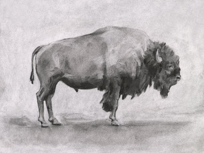 Picture of WILD BISON STUDY I