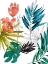 Picture of TROPICAL COMPOSITION I