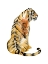 Picture of SITTING TIGER I