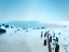 Picture of SEASCAPE PHOTO III