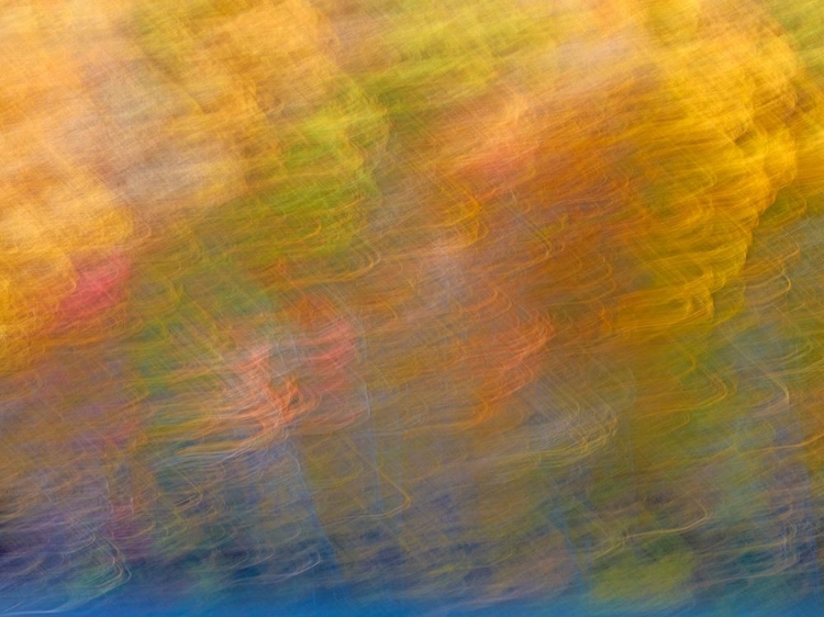 Picture of SOFT LANDSCAPE XI