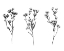 Picture of WILD THISTLE V