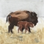 Picture of LODGE GUARDIAN III