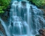 Picture of WATERFALL PORTRAIT III