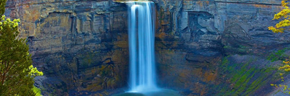 Picture of WATERFALL PANORAMA I