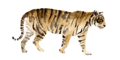 Picture of WATERCOLOR TIGER IV