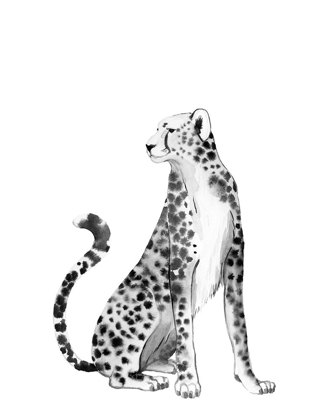 Picture of CHROME CHEETAH II