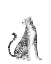 Picture of CHROME CHEETAH II