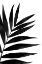 Picture of BLACK PALMS I