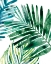 Picture of TROPICAL LEAF MEDLEY II