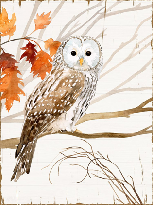 Picture of HARVEST OWL I