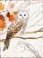 Picture of HARVEST OWL I