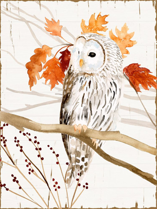 Picture of HARVEST OWL II