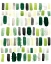 Picture of JUNGLE PALETTE I