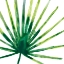 Picture of TROPICAL JEWEL I