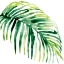 Picture of TROPICAL JEWEL V