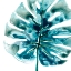 Picture of TROPICAL JEWEL VIII