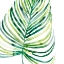 Picture of TROPICAL JEWEL IX
