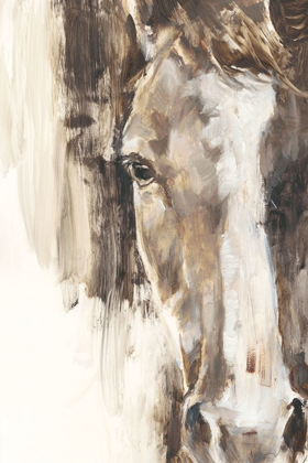 Picture of CROPPED EQUINE STUDY I