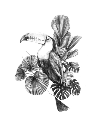 Picture of TOUCAN TOILE I