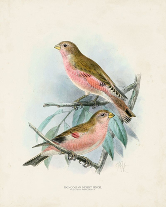 Picture of ANTIQUE BIRDS IV