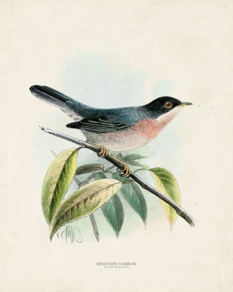 Picture of ANTIQUE BIRDS V