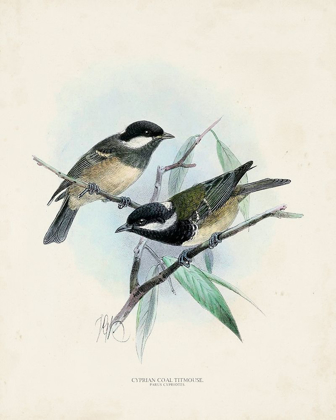 Picture of ANTIQUE BIRDS VII