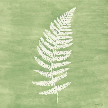 Picture of FOREST FERNS III