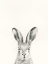 Picture of ANIMAL MUG I
