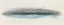 Picture of PASSING BY I