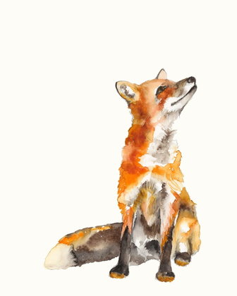 Picture of SLY FOX I