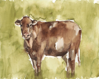 Picture of COW IN THE FIELD II