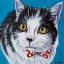 Picture of CLASSY CAT I