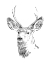 Picture of YOUNG BUCK SKETCH IV