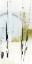 Picture of BAMBOO MARSH I