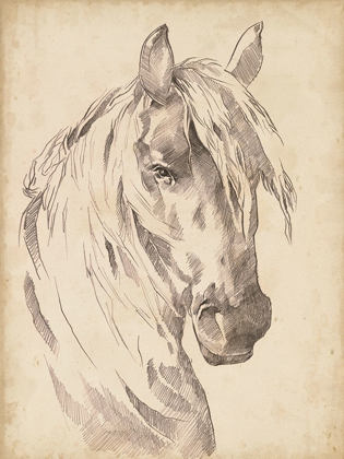 Picture of HORSE PORTRAIT SKETCH I