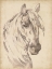 Picture of HORSE PORTRAIT SKETCH I