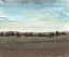 Picture of TREES IN THE DISTANCE I