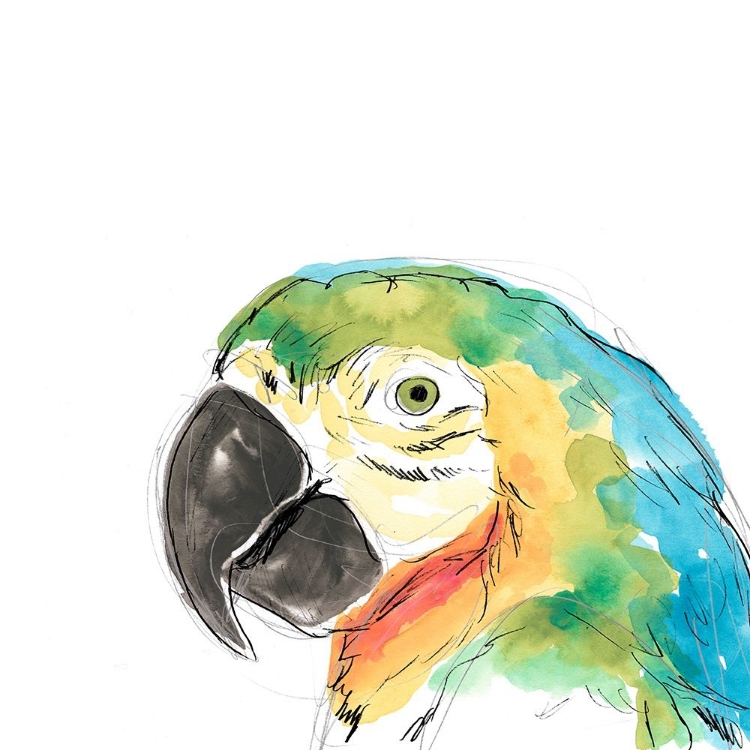 Picture of TROPICAL BIRD PORTRAIT I