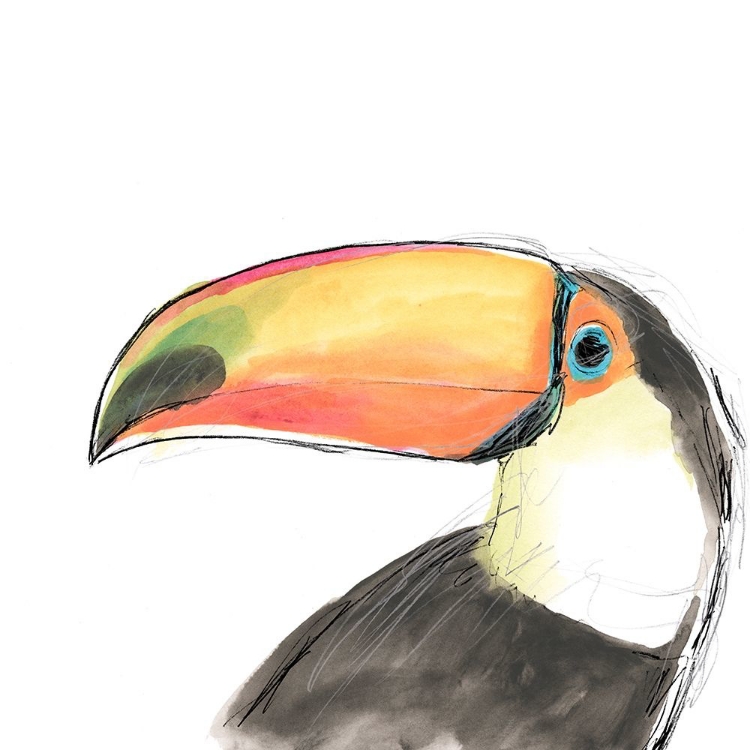 Picture of TROPICAL BIRD PORTRAIT III