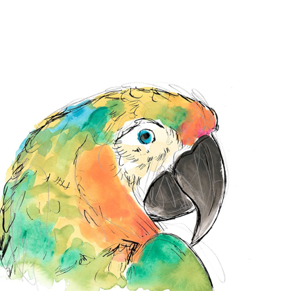 Picture of TROPICAL BIRD PORTRAIT IV