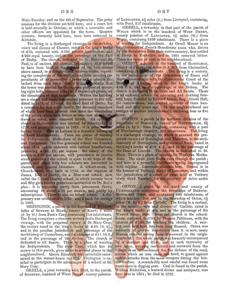 Picture of BALLET SHEEP 1 BOOK PRINT