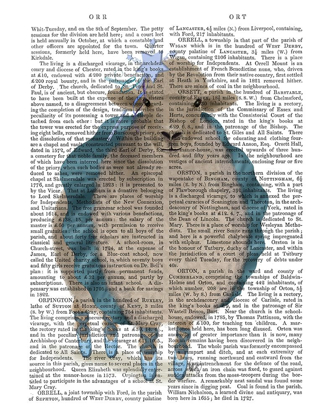 Picture of BALLET SHEEP 5 BOOK PRINT