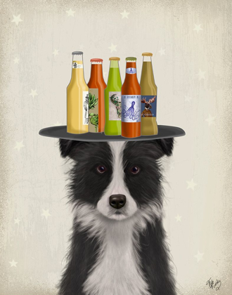 Picture of BORDER COLLIE BLACK WHITE BEER LOVER