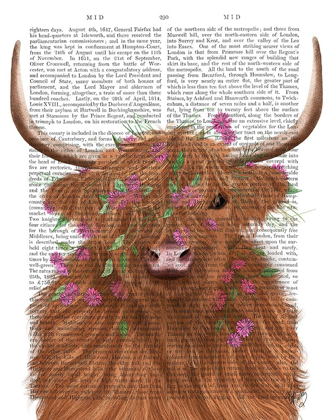 Picture of HIGHLAND COW 1, PINK FLOWERS BOOK PRINT