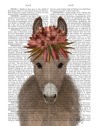 Picture of DONKEY BOHEMIAN 1 BOOK PRINT