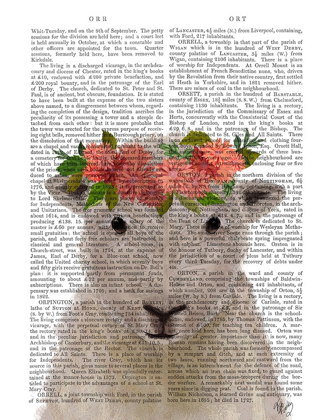 Picture of SHEEP BOHEMIAN 1 BOOK PRINT